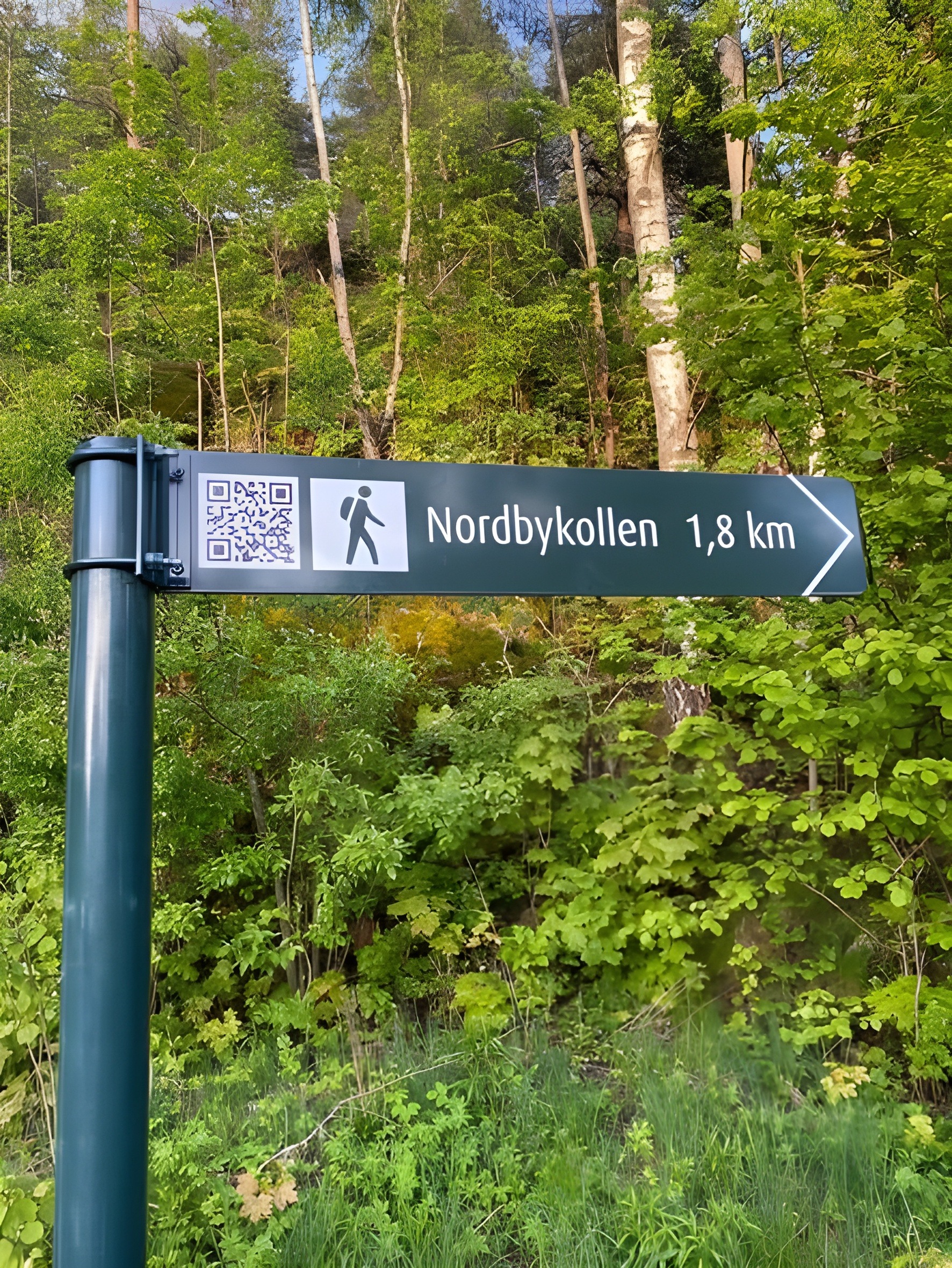 Flott Turområde i nærheten.